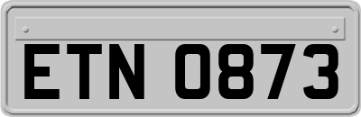 ETN0873