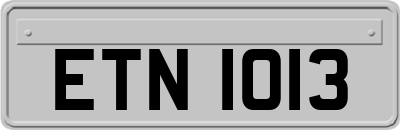 ETN1013