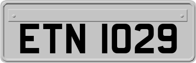 ETN1029