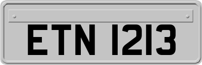 ETN1213