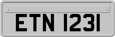 ETN1231