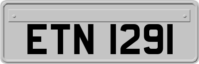 ETN1291