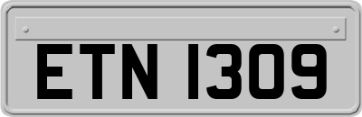 ETN1309