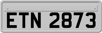 ETN2873