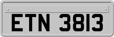 ETN3813