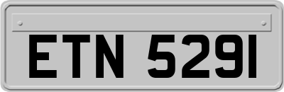ETN5291
