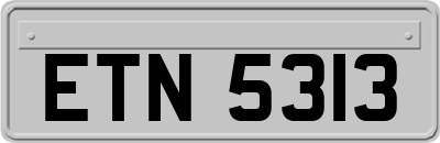 ETN5313