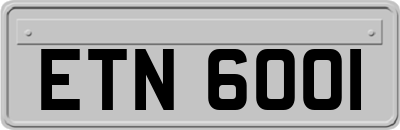 ETN6001