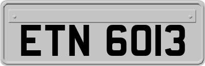ETN6013