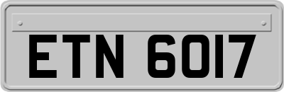 ETN6017