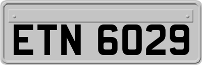 ETN6029