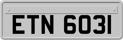 ETN6031