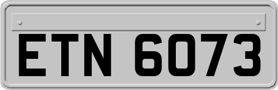 ETN6073