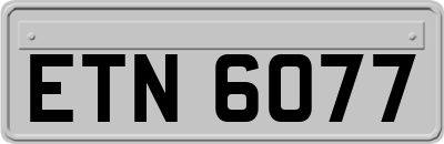 ETN6077