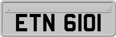 ETN6101