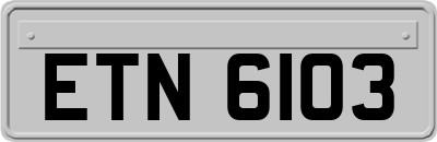 ETN6103