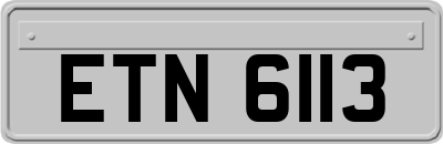 ETN6113