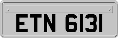 ETN6131