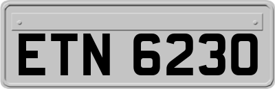 ETN6230