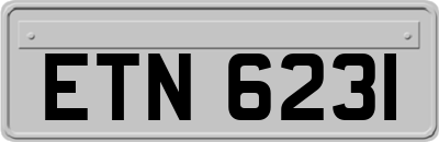 ETN6231