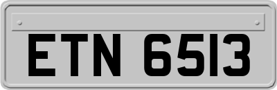 ETN6513