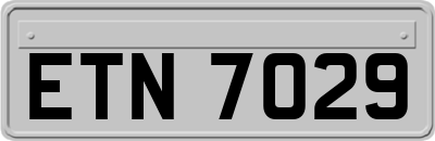 ETN7029