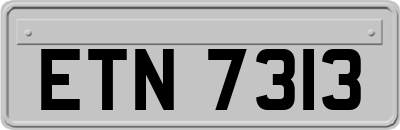 ETN7313