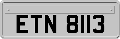 ETN8113