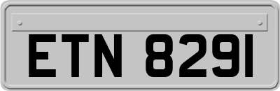 ETN8291