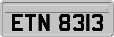 ETN8313