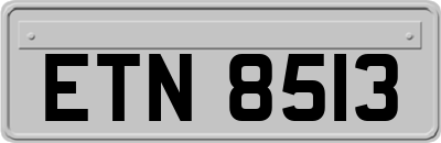 ETN8513