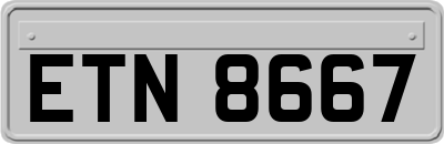 ETN8667