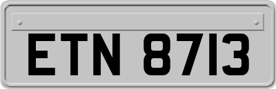 ETN8713