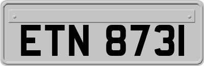 ETN8731