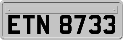 ETN8733