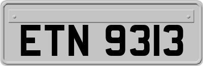 ETN9313