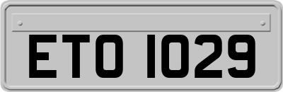 ETO1029