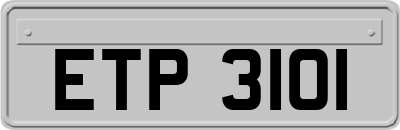 ETP3101