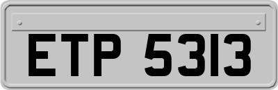 ETP5313