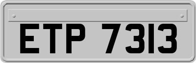 ETP7313