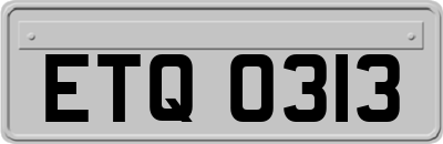 ETQ0313