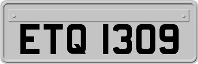 ETQ1309