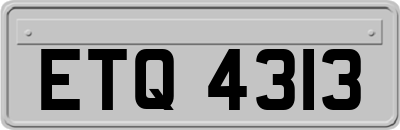 ETQ4313