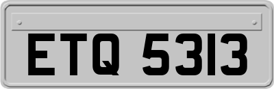 ETQ5313