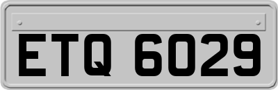 ETQ6029