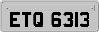 ETQ6313
