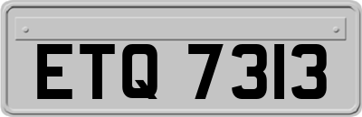 ETQ7313