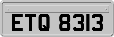 ETQ8313