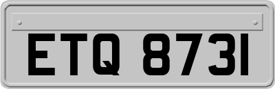 ETQ8731