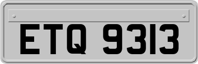 ETQ9313